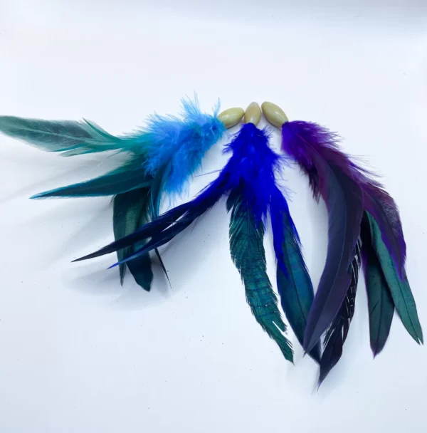 feather toy