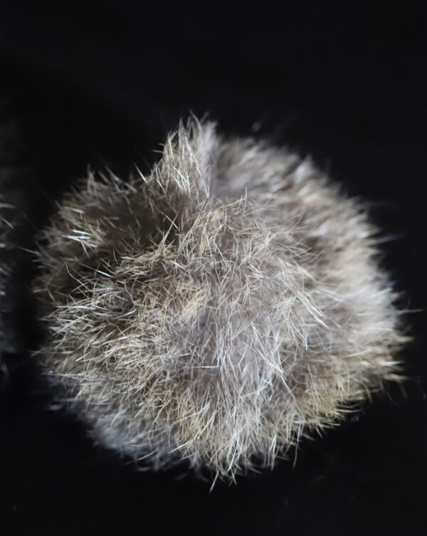 Possum Fur Ball